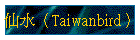 �P���]Taiwanbird�^