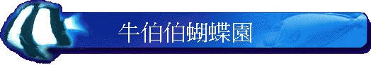 ���B�B������