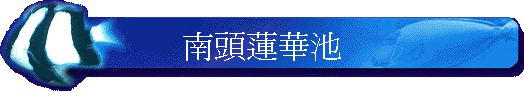 �n�Y���ئ�