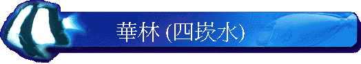 �تL (�|�r��)